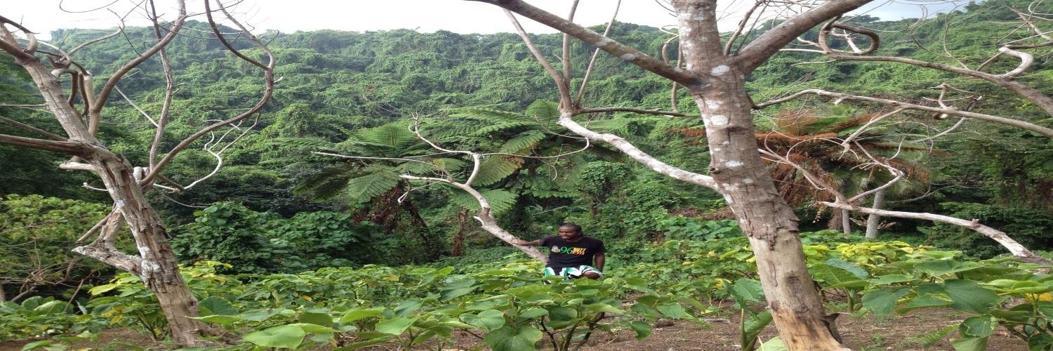 Vanuatu GIS Feed banner