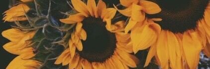 jainaa__'s profile banner image