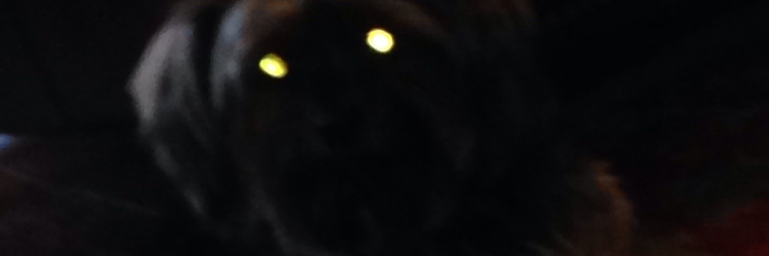KEVIN MEGLI banner