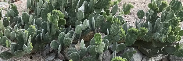 Aimeeteegarden Profile Banner