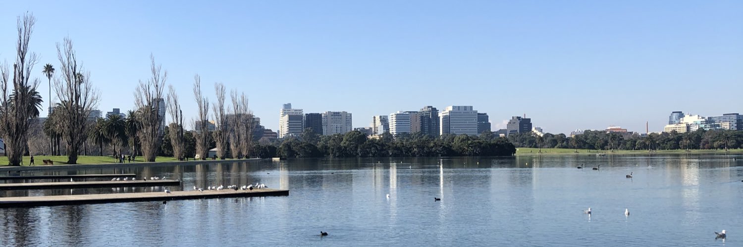 Dr Simone McCarthy banner