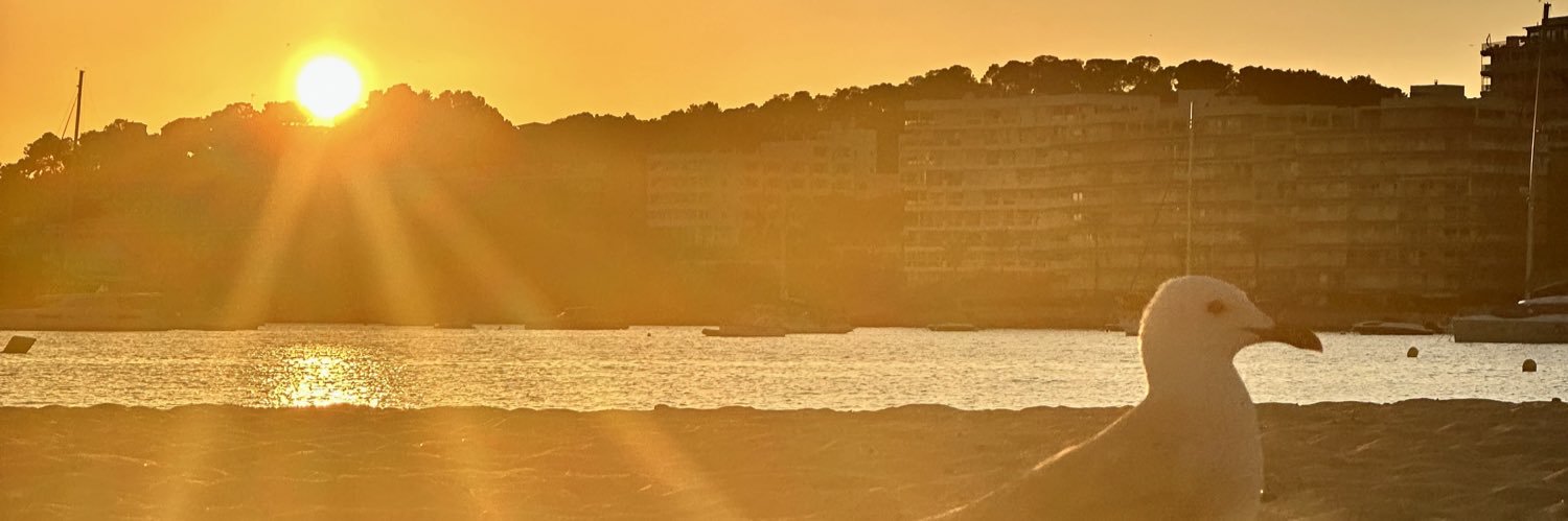 veybiross's profile banner image