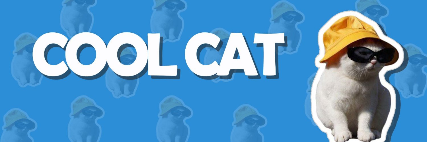 Cool Cat banner