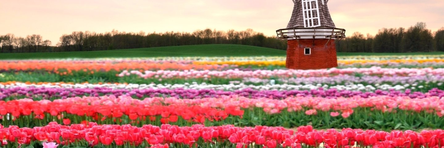 Kareen1118's profile banner image