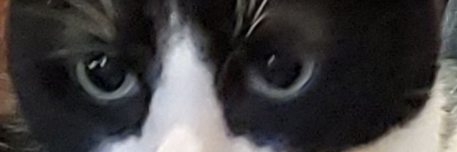 Maltrab's profile banner image
