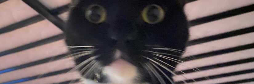 sephjoe21's profile banner image