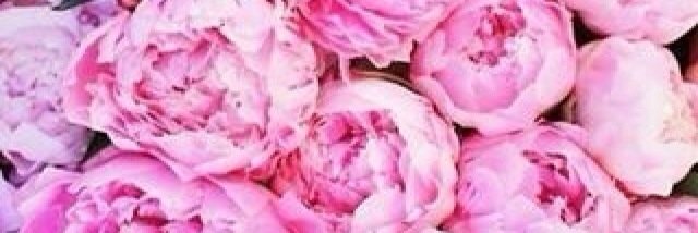 ag9722436's profile banner image
