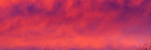 vindipo20's profile banner image