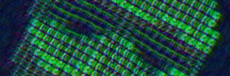 iamigorfoxx's profile banner image