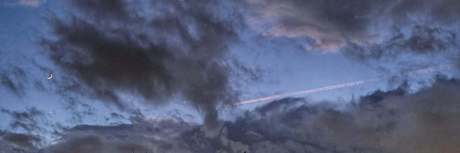 gilupar's profile banner image