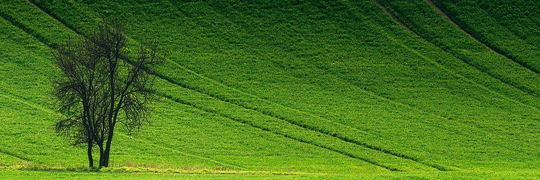 AGTagem's profile banner image
