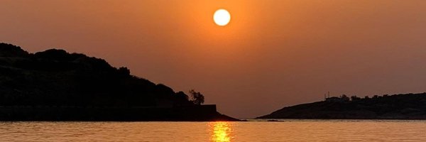 aychacarvalho Profile Banner