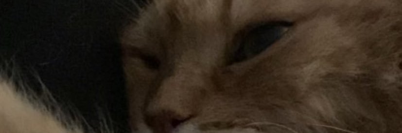 clocliclo___'s profile banner image
