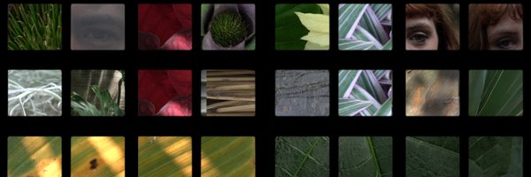 EHCOMUSIC Profile Banner