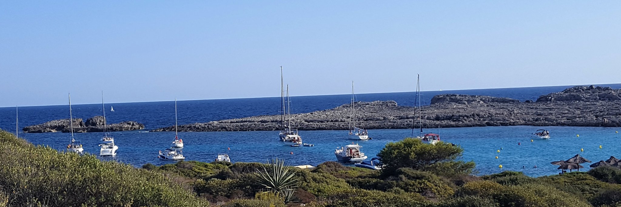 Jacqui Morrissey banner