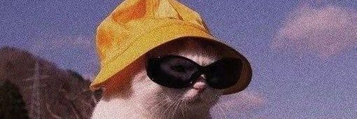 _DavidFortin_'s profile banner image