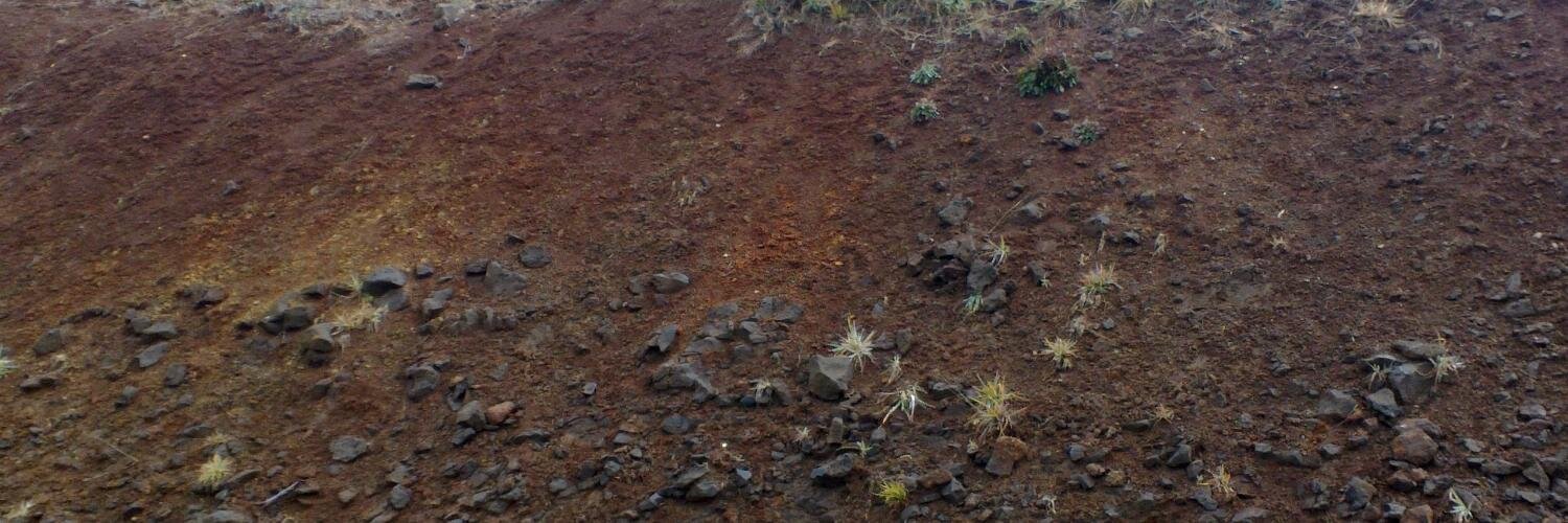 Ian Hollingsworth🐝 banner