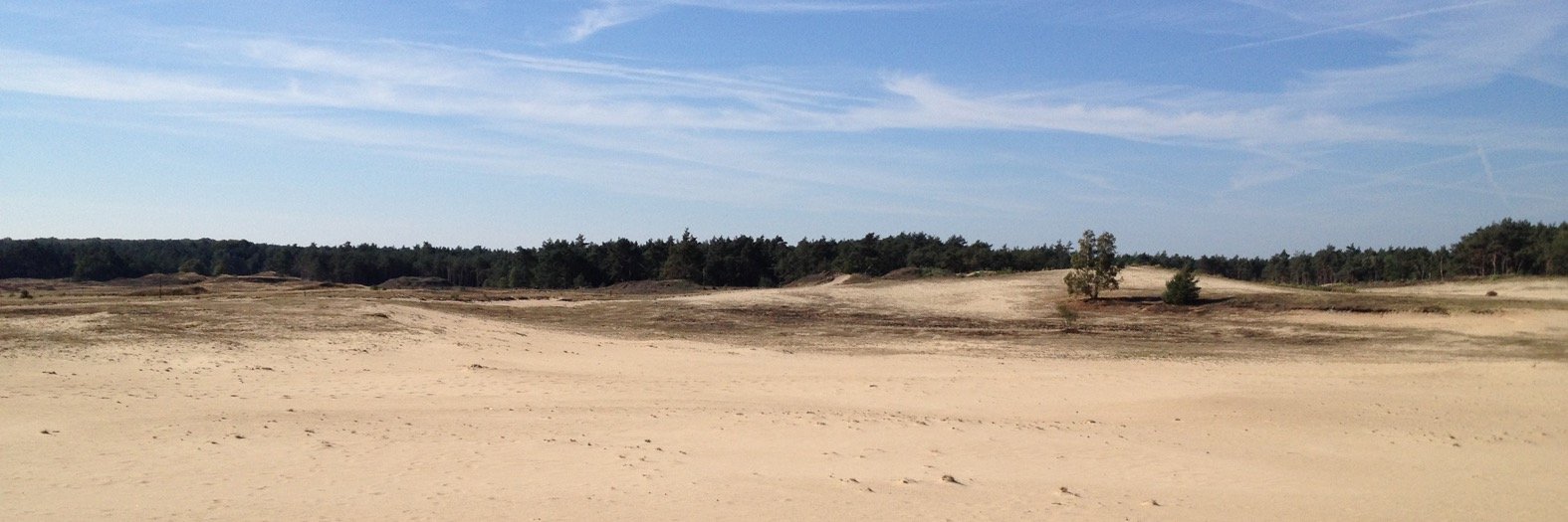 NieuweVeluwe banner