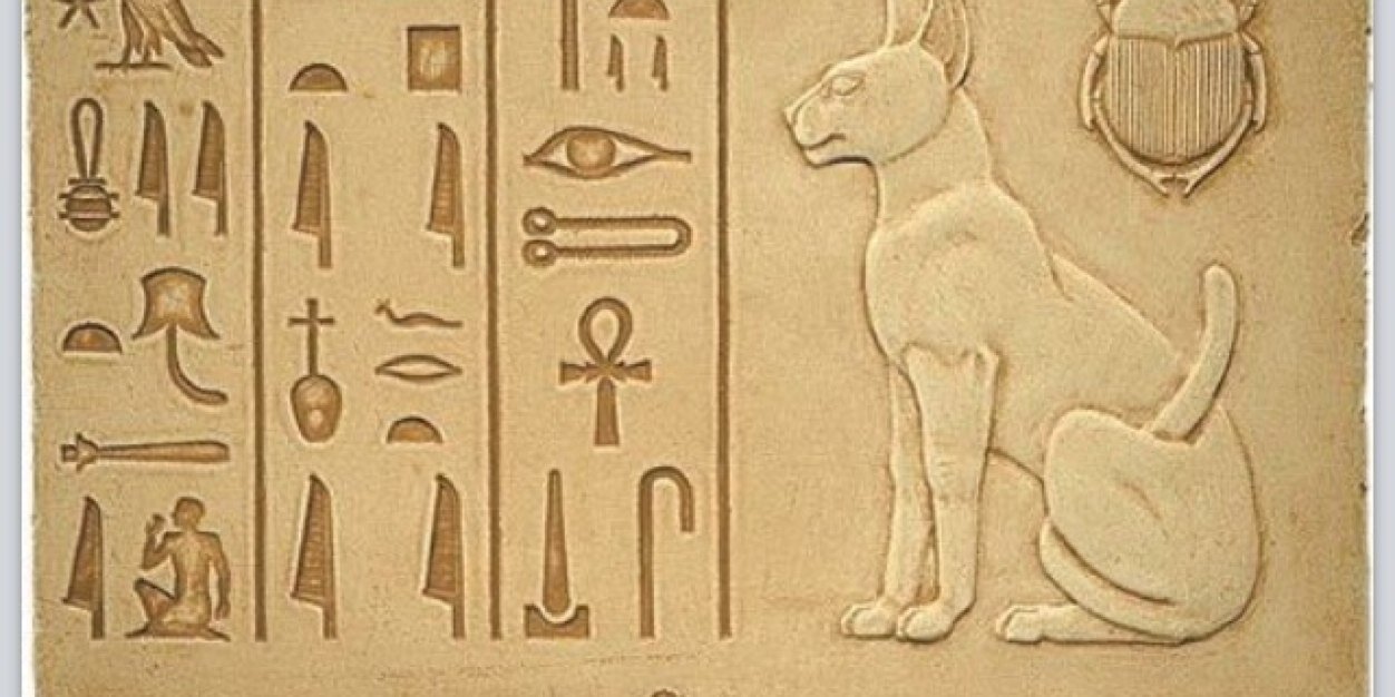 ptinkey's profile banner image