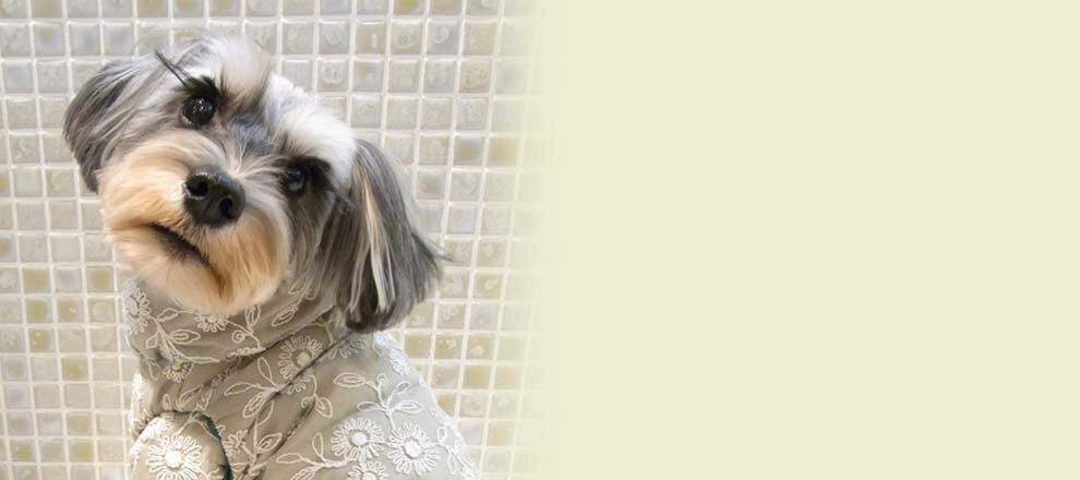 th_twinkle's profile banner image