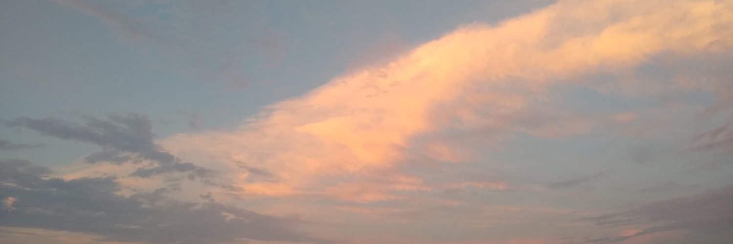 Theflawedgoddes's profile banner image