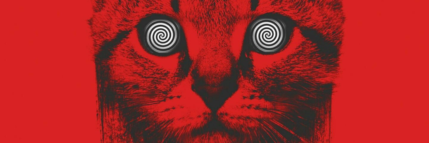 RecsAngel's profile banner image