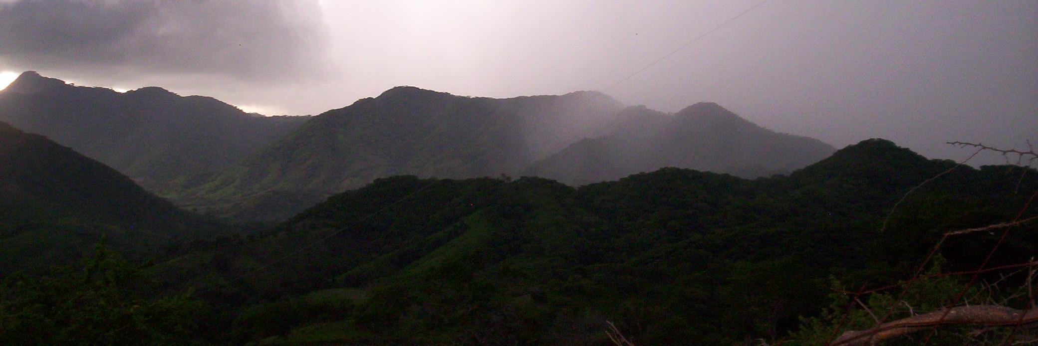 BASORA banner
