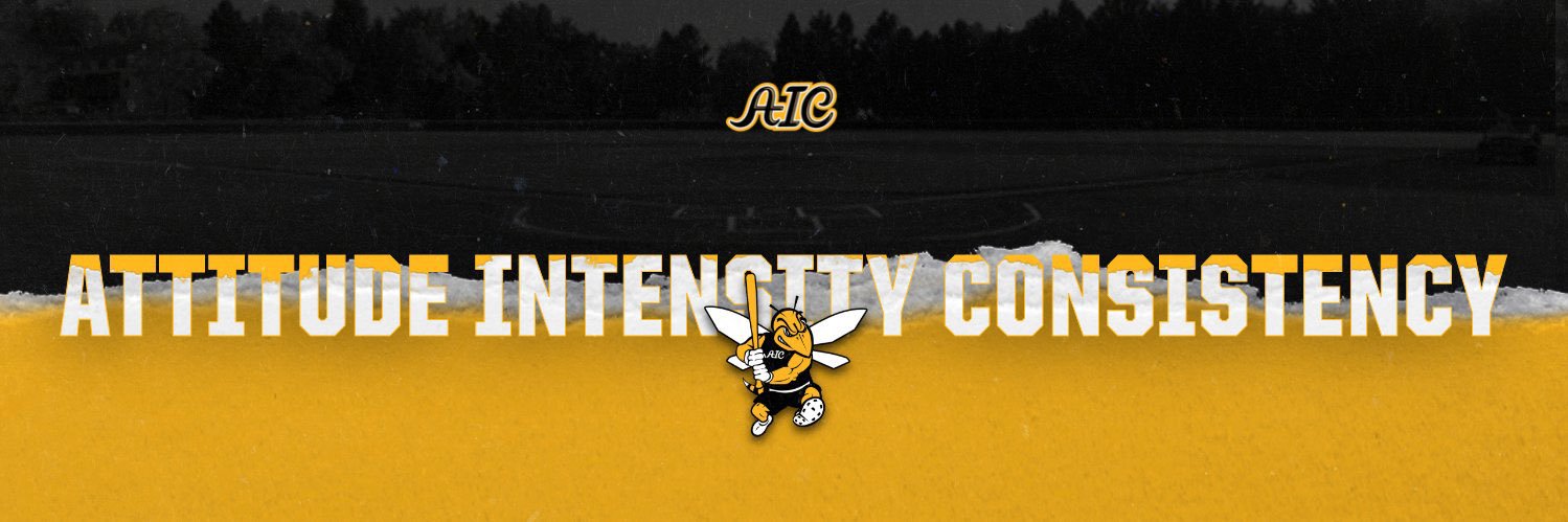 AIC Baseball banner