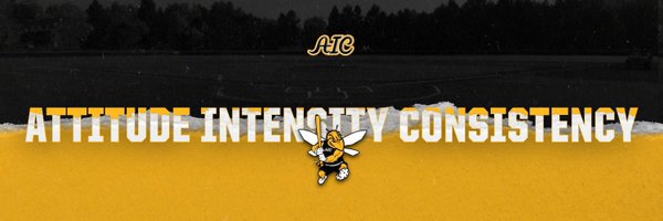 AIC_Baseball Profile Banner