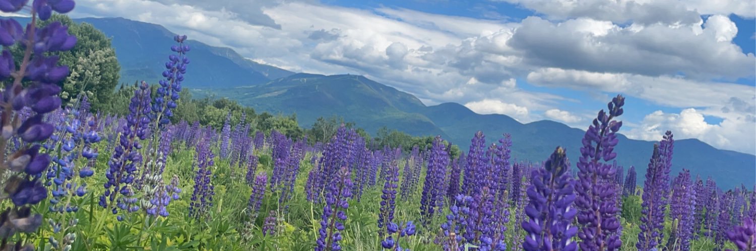 FleurDePaint's profile banner image