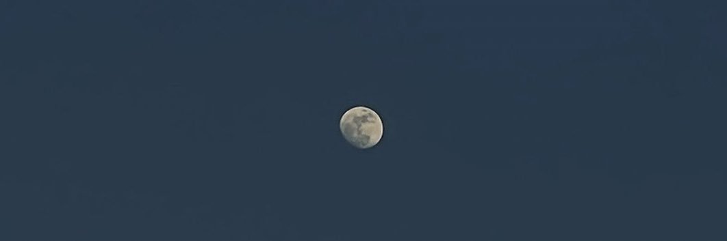 hardIIRI's profile banner image