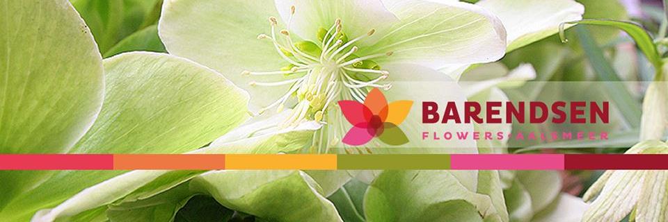 Barendsen Aalsmeer banner