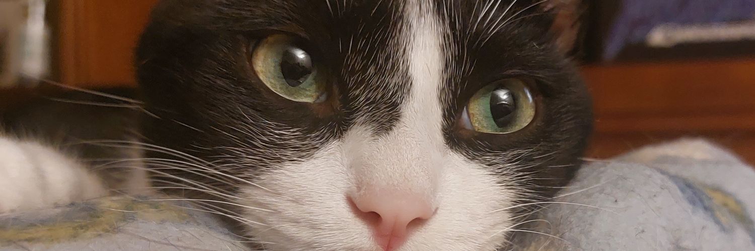 ManuMolDur's profile banner image