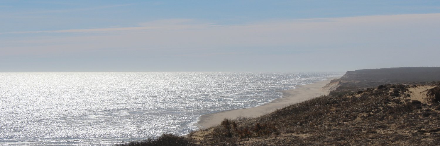 FoleyScience's profile banner image