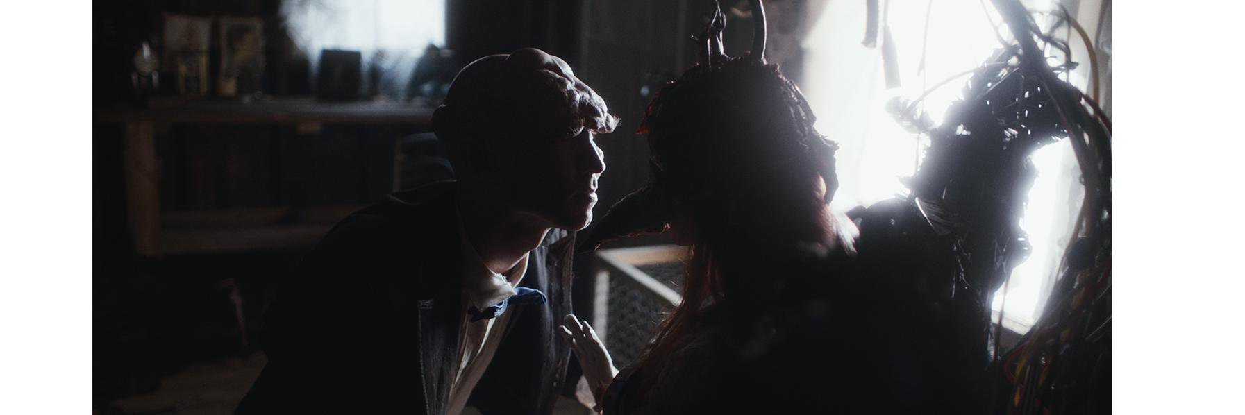 AporkalypseCo's profile banner image