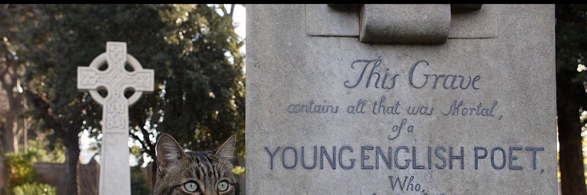 i cant stand these hoes grandma banner