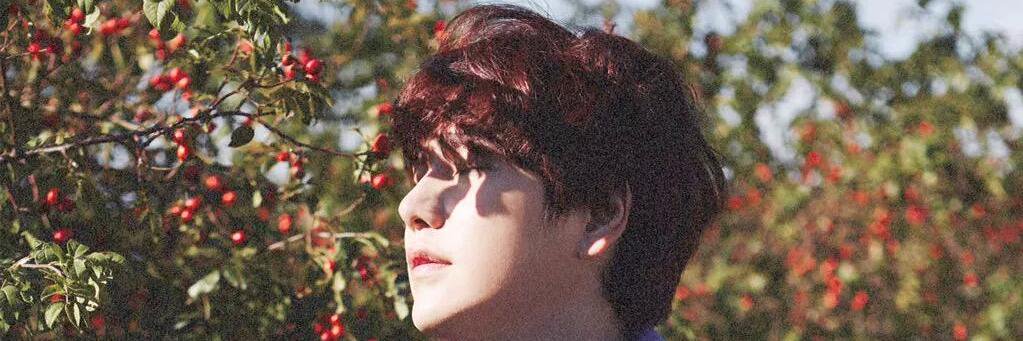 piarrykyu's profile banner image