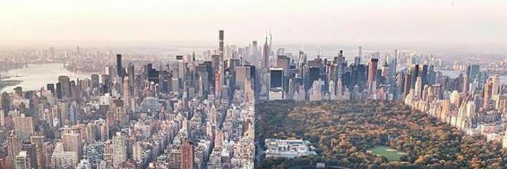 Javier Chan Borges banner