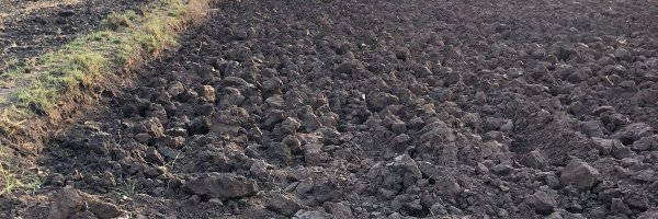 jigarboka Profile Banner