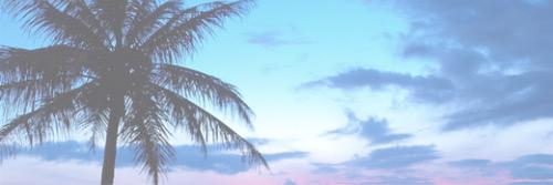 lokaicabeYo's profile banner image