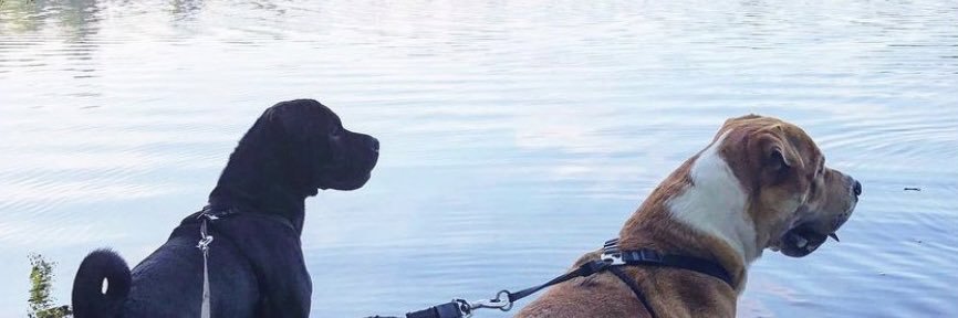 MegWooldridge's profile banner image