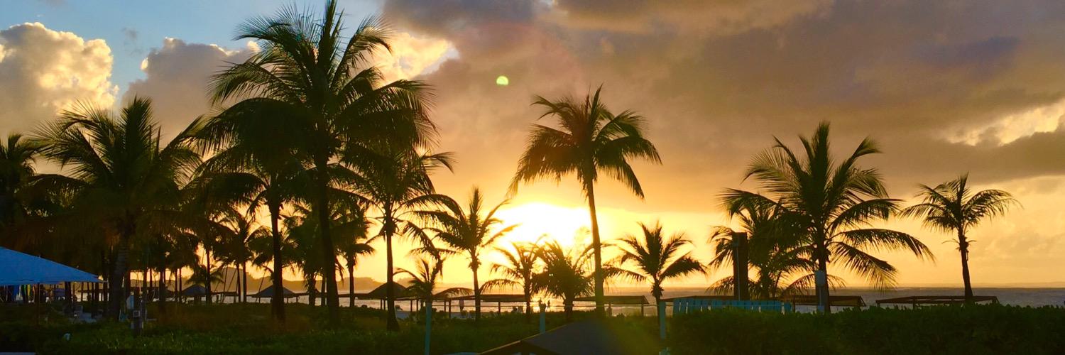 Amanda George banner