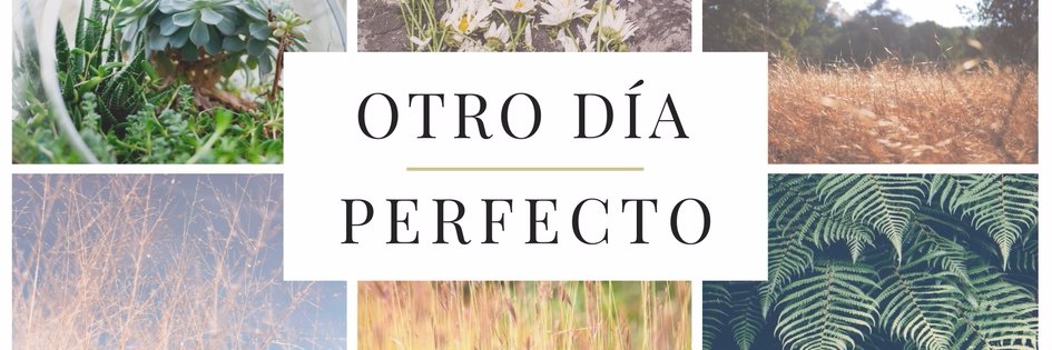 OtroDiaPerfect's profile banner image
