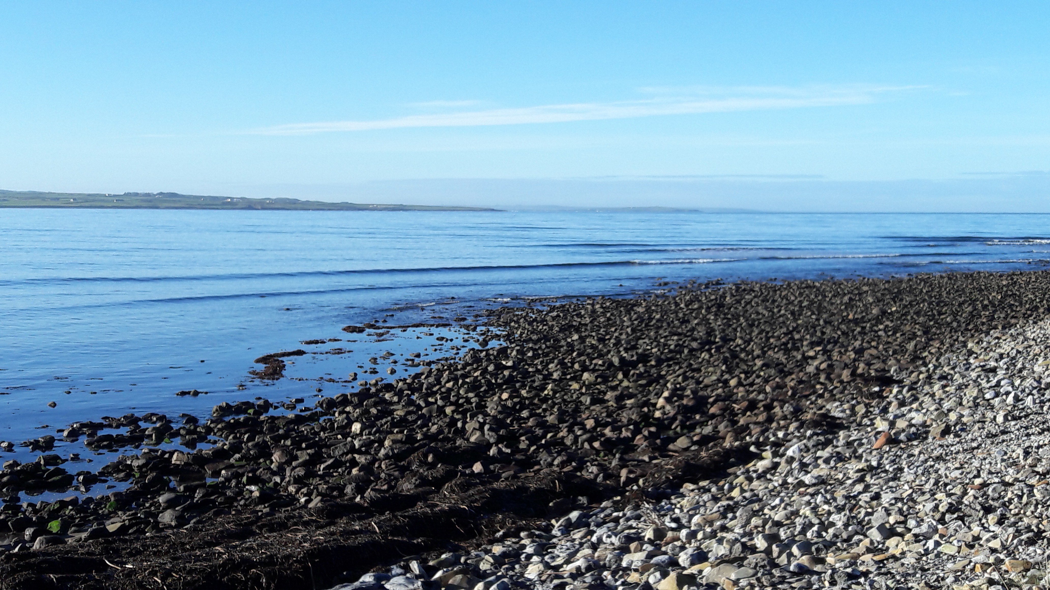 Dr Laura Keaver RD banner