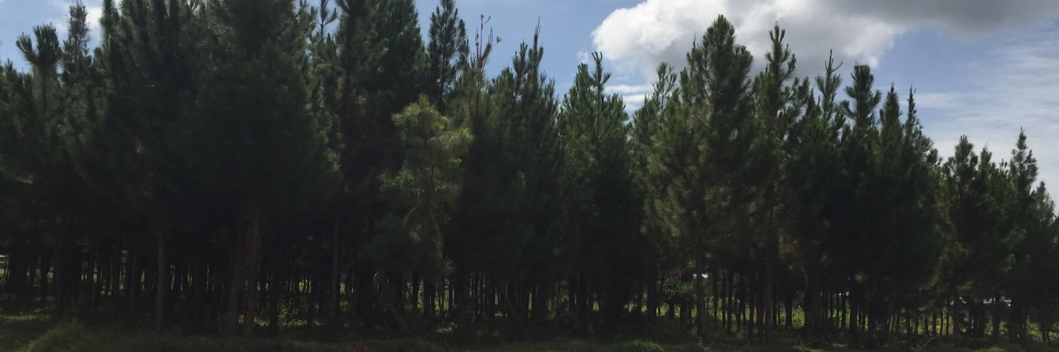 Manda_Kilumbuli's profile banner image