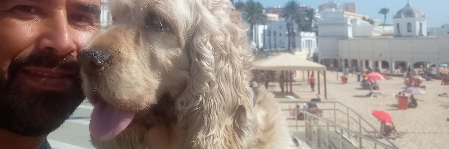 Castilfaloso's profile banner image
