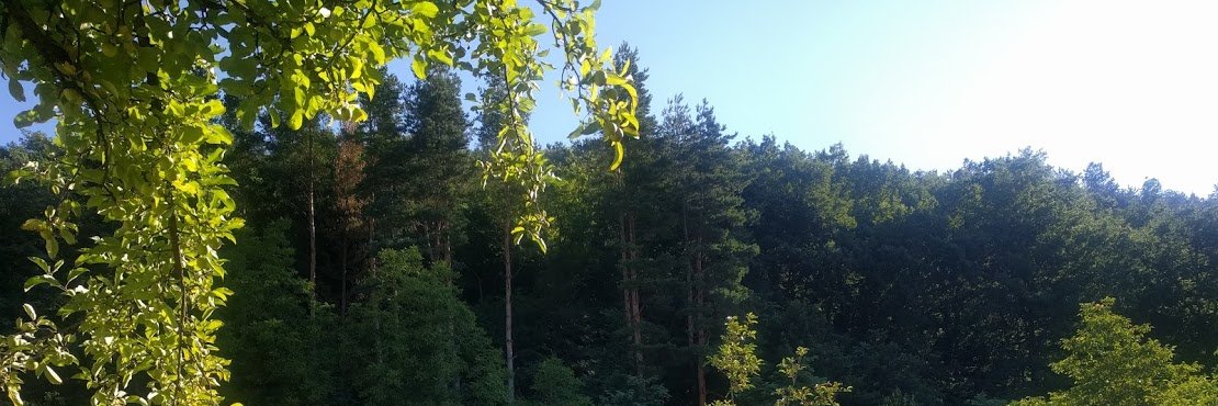 TanjaMDJ's profile banner image