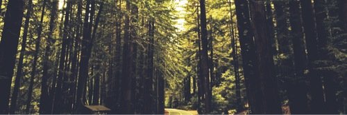 jacobrpgae2's profile banner image