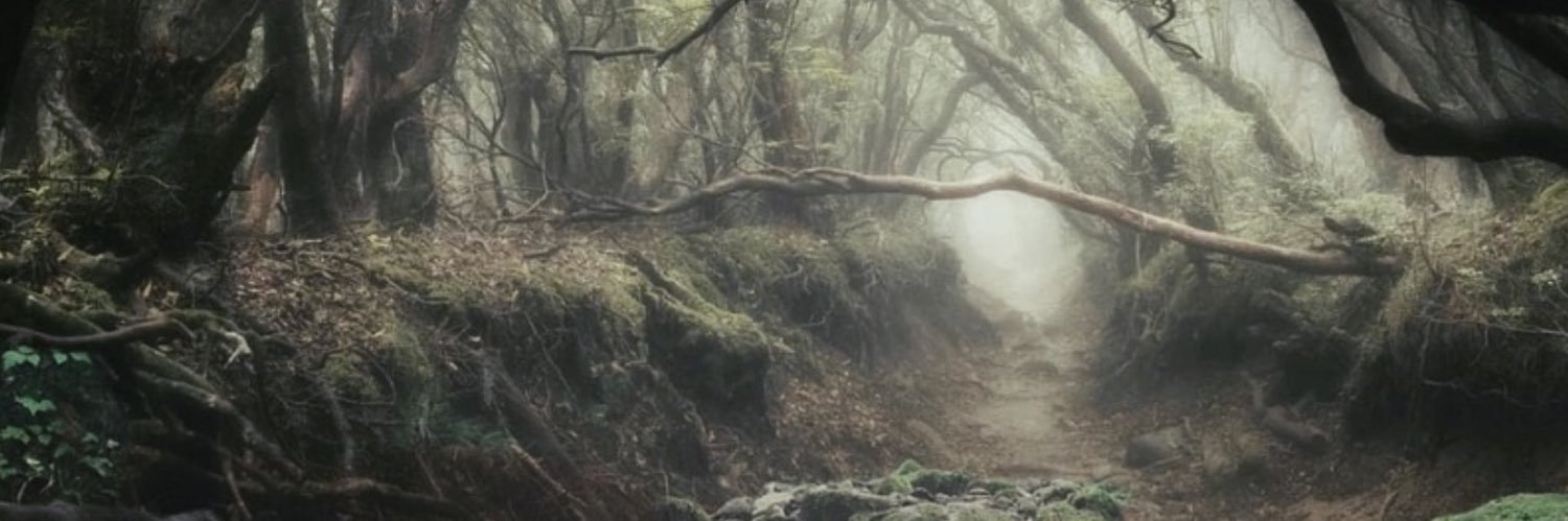 rxinyclxud's profile banner image