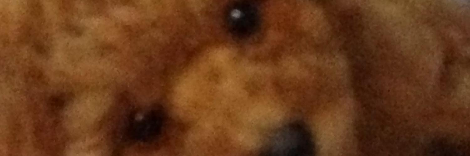 MonomaneTaizo's profile banner image